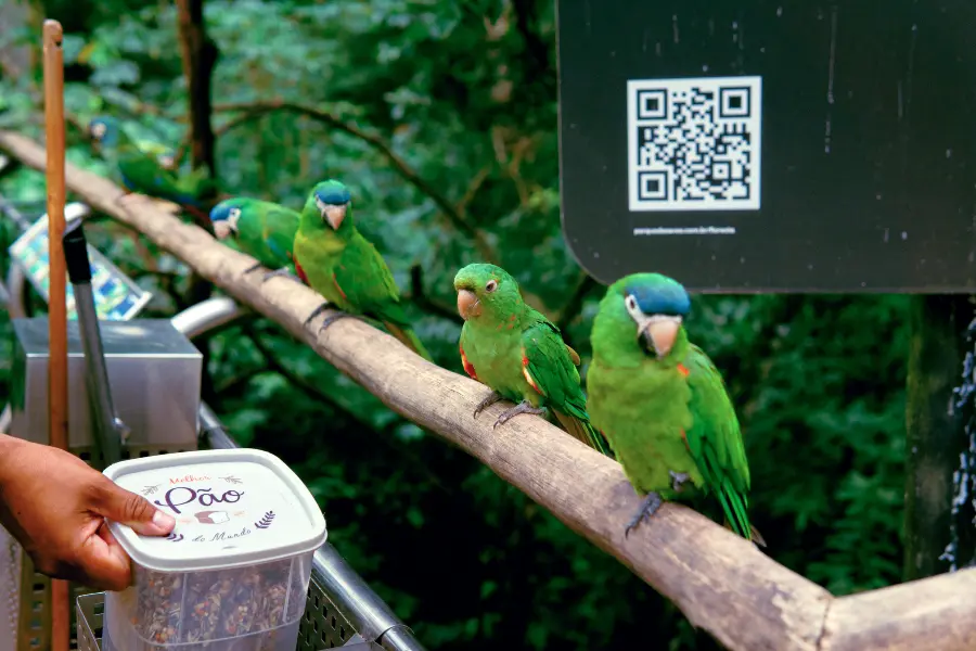 How QR Codes are Making Cities Smarter