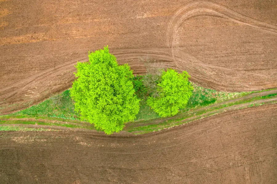 The Environmental Benefit of Using QR Codes to Reduce Paper Waste